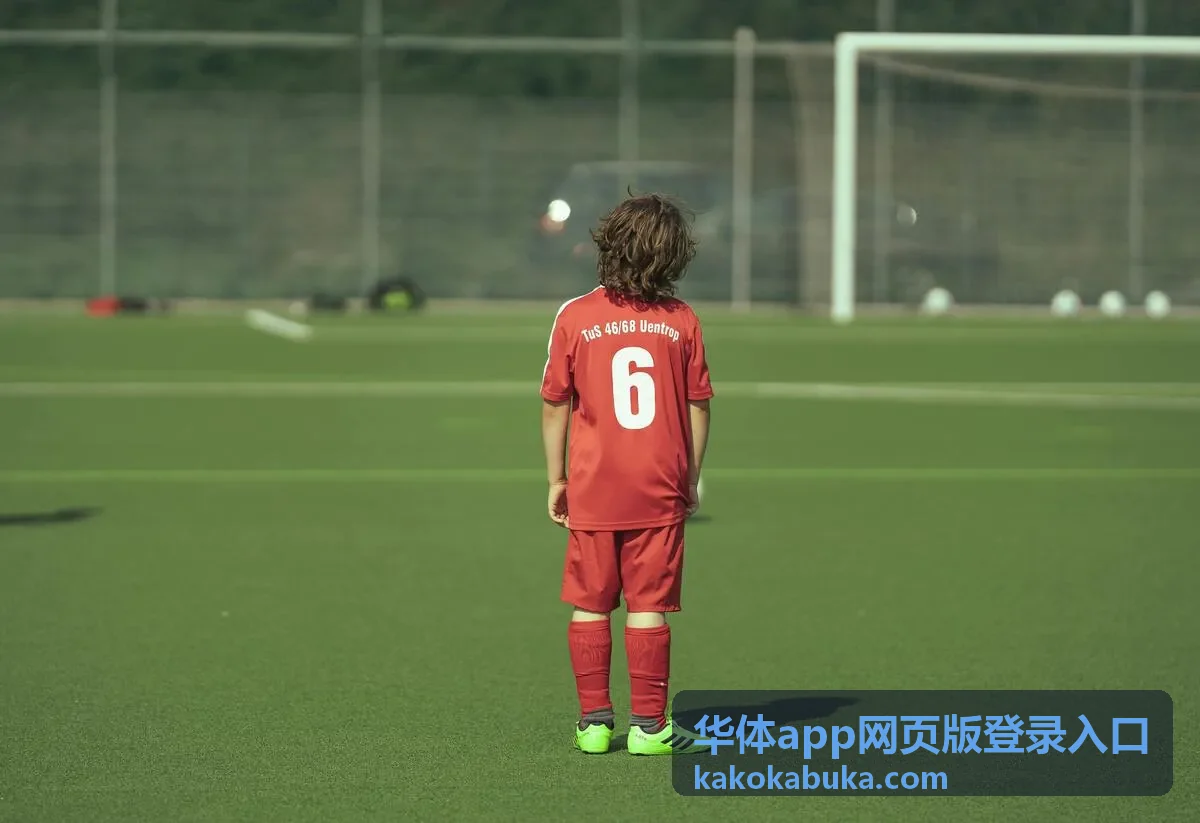 华体app网页版登录入口在电脑浏览器中的登录页面示意