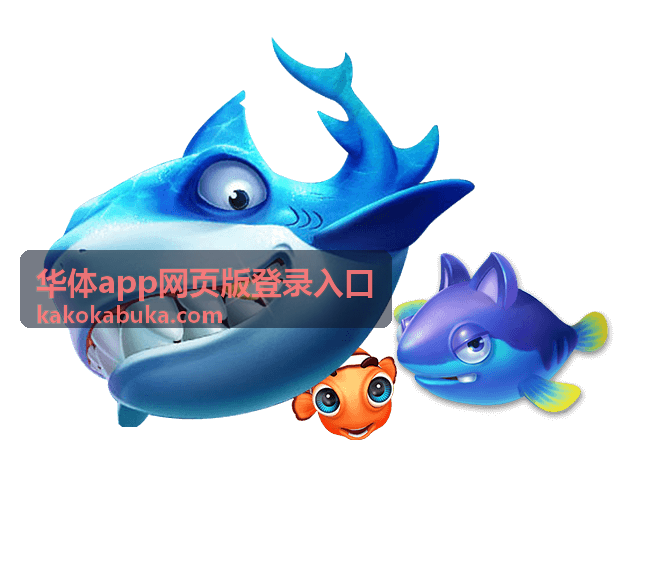 华体账号注册与实名认证流程配图