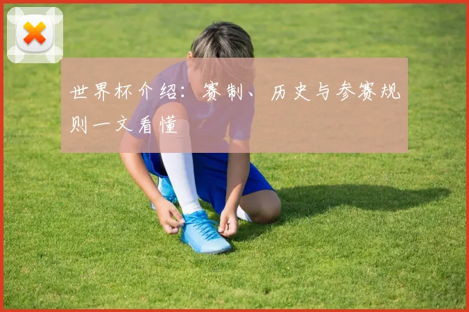 世界杯介绍：赛制、历史与参赛规则一文看懂