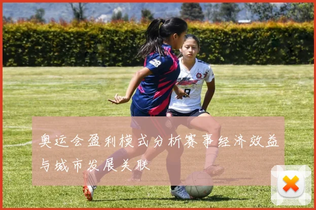 奥运会盈利模式分析赛事经济效益与城市发展关联