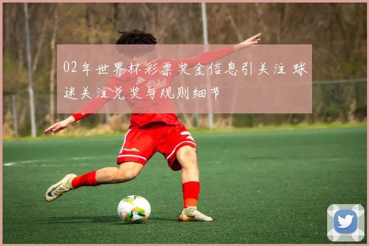 02年世界杯彩票奖金信息引关注 球迷关注兑奖与规则细节